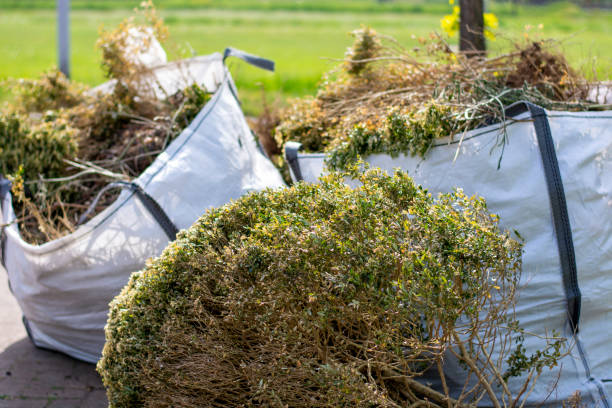 Best Same-Day Junk Removal  in Triangle, VA